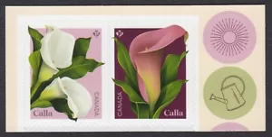 CALLA flowers = YEAR OF THE GARDEN = Pair cut from Booklet Canada 2022 MNH - Bild 1 von 1