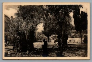 Cartolina RPPC Gerusalemme Giardino del Getsemani, Terra Santa Publ. Lehnert Landrock - Foto 1 di 2