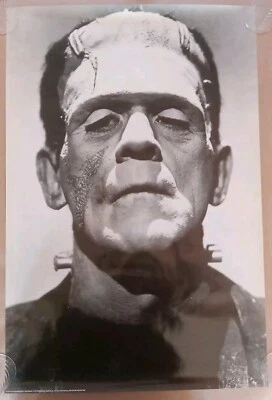 Póster de colección Frankenstein Boris Karloff años 70 terror miedo películas de Halloween  Foto 1 de 4