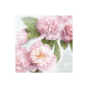 Stampa su Tela su Carta Poster o Quadro Ford Emily Pink Bloom II - Picture 1 of 2