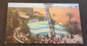 Postcard The Escalator At Busch Gardens Tampa Florida USA - Picture 1 of 2