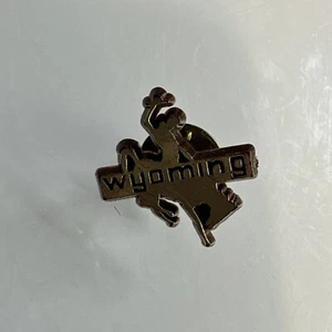 Wyoming Rodeo Hat Lapel Pin Back - Picture 1 of 2