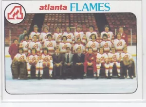 78/79 TOPPS..ATLANTA FLAMES..TEAM PHOTO/CHECKLIST..# 192..FREE COMBINED SHIP - Bild 1 von 2