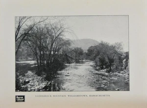 Antique Williamstown Massachusetts Art Print 1902 Boston & Maine Rail Road - Picture 1 of 8