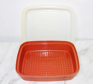 Tupperware #1294 grande marinata tenderizzatore carne custode contenitore peperoni e trasparente - Foto 1 di 8