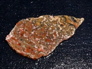Leopard Skin Jasper slab- 3" x 1 5/8" rough for cabbing-display - Picture 1 of 3