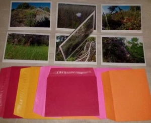 7 color wild flower note cards blank folded greeting thank you cards w envelopes - Picture 1 of 6