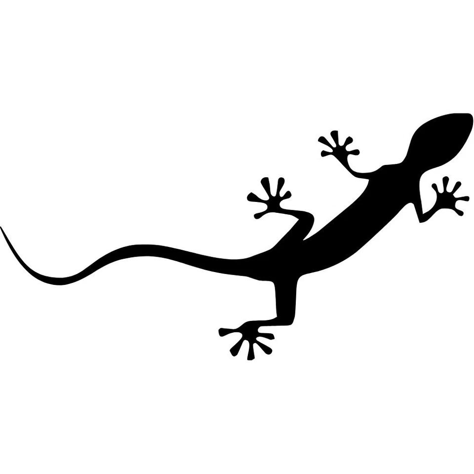 Audi Gecko Vinyl Decal Car Window Tumbler Laptop Mirror Bike Flask - Image 1 of 1