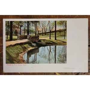 POSTAL WILCOX PARK, WESTERLY R.I. - c. 1901-1907 - Imagen 1 de 2