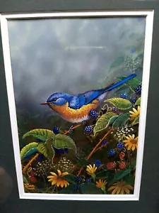 Songbirds GNA Mini Framed Print Bluebird by Sam Timm - Picture 1 of 11