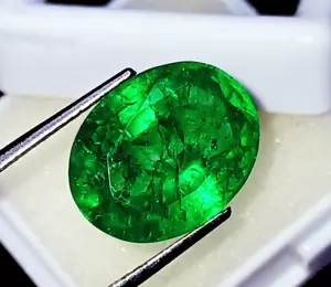 9.50 Karat Lose Edelstein Natürlicher Smaragd Ovale Form Verbessert Zertifiziert - Bild 1 von 6