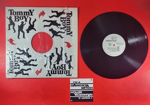 Apache Gangsta Bitch / Apache Ain't Shit 12" Single Vinyl, Record 1992 w/Sticker - Picture 1 of 24