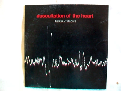 Pleasant Grove: Auscultation of the Heart (CD, 2002, Glitterhouse Records) Foto 1 de 3