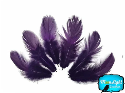 6 Pieces Large Purple Silver Pheasant Barred Plumage Feathers Fly Tying Jewelry - Image 1 of 2