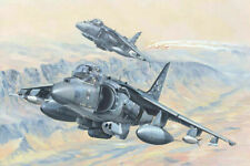 HobbyBoss AV-8B Harrier II 1:18 Airplane Kit (81804)
