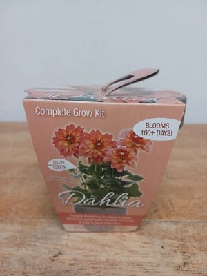 Kit de cultivo completo Total Green Dahlia Foto 1 de 4
