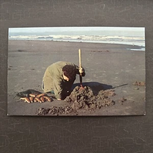OUTDOOR RECREATION Vintage Chrome Postcard Clam Digging Pacific Coast Beaches OR - Picture 1 of 2