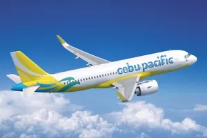 A321neo Airbus Cebu Pacific Flugzeug Schreibtisch Ofen Trockenholz Modell groß neu - Bild 1 von 6