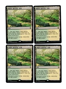 4x Windswept Heath x4 - Khans of Tarkir - Korean - MTG Magic Playset - NM/LP - Picture 1 of 2