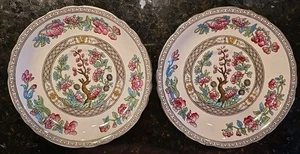 Aynsley Juego de 2 platos de postre para ensalada patrón de árbol indio Inglaterra 754522 6,5 pulgadas - Imagen 1 de 8