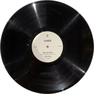 Cher One By One If I Could Turn Back Time Believe Vinyl Promo - Picture 1 of 11
