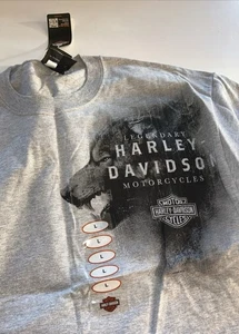 Harley Davidson T Shirt grau mit Wolf Herren Large nagelneu mit Etikett - Bild 1 von 3