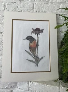 Oriole Bird on Flower Sketch Artwork Nature Illustration 16 x 20 Matted Signed - Picture 1 of 14