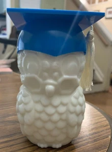 Graduation Owl Bottle Wild Country. Cologne-EMPTY- ✔ Avon Dr Hoot  SUPER CUTE!!! - Picture 1 of 7