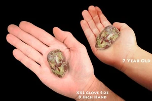 DRAGON BLOOD JASPER 2" 2-3 Oz Tumbled Polished Rock Mineral Specimen Crystal - Picture 1 of 3
