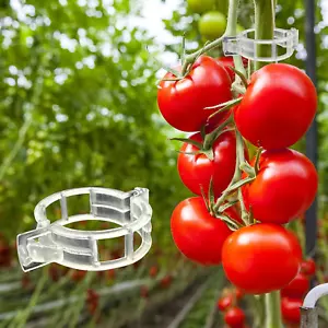 ® 300Pcs Tomato Clips, Plastic Trellis Clips Plant Support Clips, Plant Clips fo - Picture 1 of 12