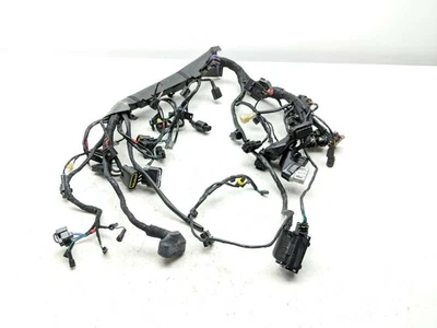 Telar arnés de cableado principal Triumph Street Twin 22 Foto 1 de 4