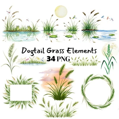 Dogtail Grass Watercolor Clipart PNG Digital Download For Printing, Sublimation - Image 1 of 4