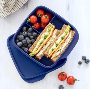 Tupperware® Eco+ Pausen-Box 550 ml Brotzeit-Box Lunch-Box clevere Pause blau - Bild 1 von 5