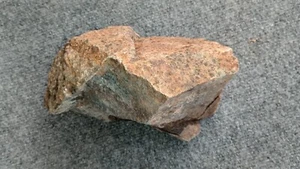 Petrified Palm Tree 10 Lbs, From AZ - Picture 1 of 6