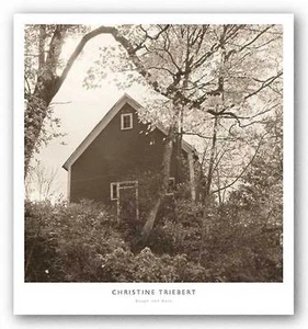 ART PRINT Bough and Barn Christine Triebert - Imagen 1 de 1