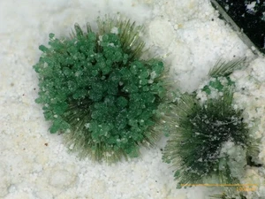Pseudomalachite, Libethenite - Copiapo, Chile - Picture 1 of 3