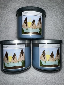 BATH & BODY WORKS 3 WICK CANDLE HOT FUDGE DRIZZLE ICE CREAM SUNDAE LARGE 14.5OZ - Picture 1 of 14