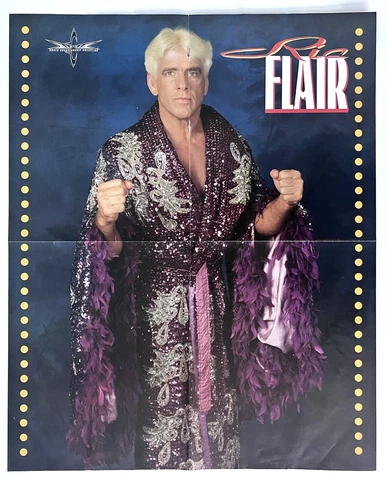 WCW RIC FLAIR 16.75 x 20.75 double sided Wrestling Poster BILLY KIDMAN Cover