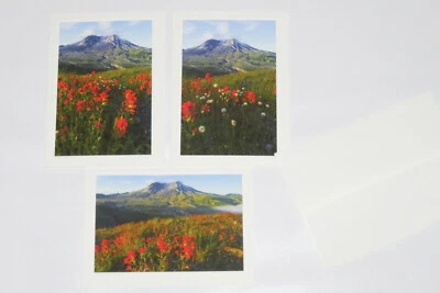 3 Wildflowers at Mt St Helens Photo Greeting Cards, Blank Inside, 5X7 - Image 1 of 4