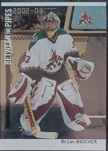 2002 - 2003 ITG Between The Pipes Brian Boucher Coyotes /100 #56 Hockey - Picture 1 of 2