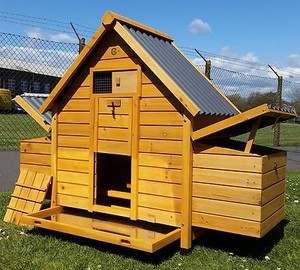 Plastic Chicken Coop for sale - S L300