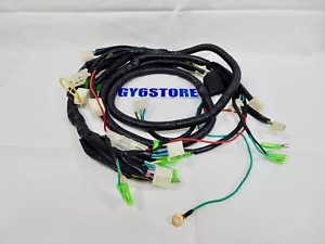 50cc TAO TAO THUNDER / BLADE SCOOTER COMPLETE WIRING HARNESS ASSEMBLY *OEM* - Picture 1 of 5