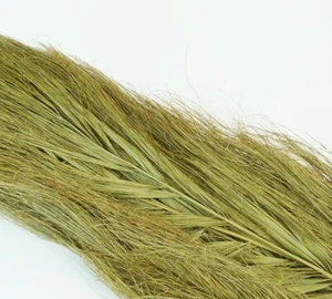 Date Jhat Mt 1 Pz 10 Decorazioni Naturale Essiccata Composizione Floreale - Imagen 1 de 1