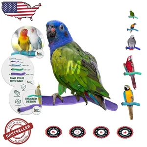 Healthy Bird Barsch 12" Medium lila Bimssteinschleifer sanftes Nagelschneiden - Bild 1 von 10