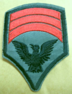 US Army Aufnäher United States Patch Forces USA Armee Sergeant Eagle x - Bild 1 von 1