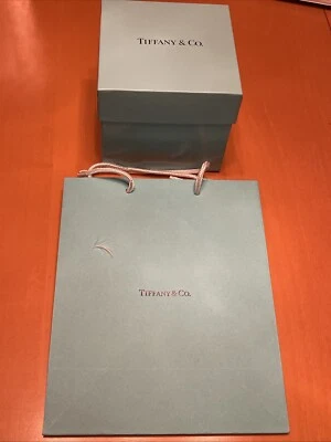 Tiffany & Co. Medium Blue Paper Shopping Gift Bag And Empty Box, New - Image 1 of 4