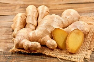 Elefant Ingwer Rhizom (Zingiber officinal rosc.) 300+ gr zum Bepflanzen - Bild 1 von 9