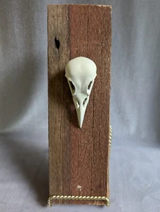 Faux Crow Skull Wall Decor on Barn Board Halloween Gothic Handmade - Picture 1 of 5