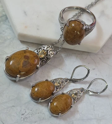 Pendientes, colgante y anillo Coquina de jaspe/citrino en acero inoxidable de 20 pulgadas Talla 8 Foto 1 de 4