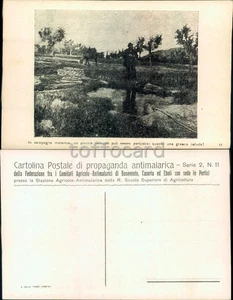 NAPOLI PROVINCIA-PORTICI-CAMPAGNA ANTIMALARICA-BENEVENTO CASERTA EBOLI-D12-61 - Picture 1 of 1